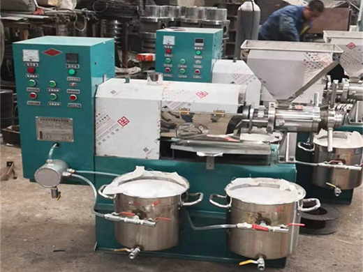 groundnut oil press production line for sale