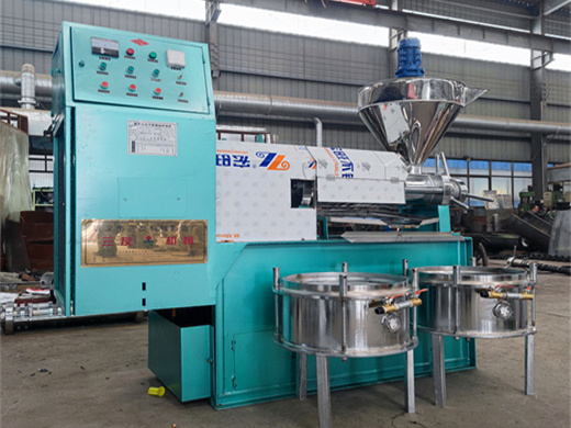 china oil press manufacturer, palm oil pressing machine