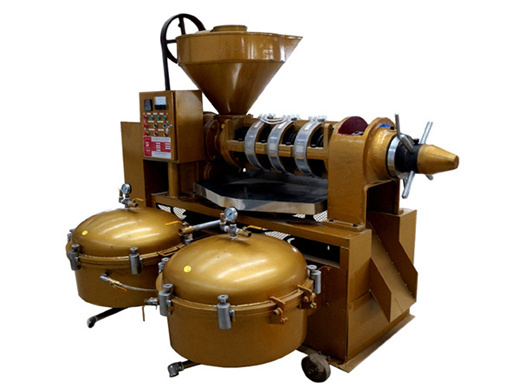 start an automatic groundnut oil processing line