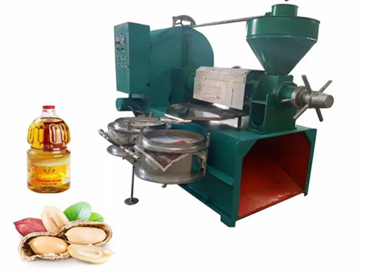 commercial made edible oil press machine labor saving