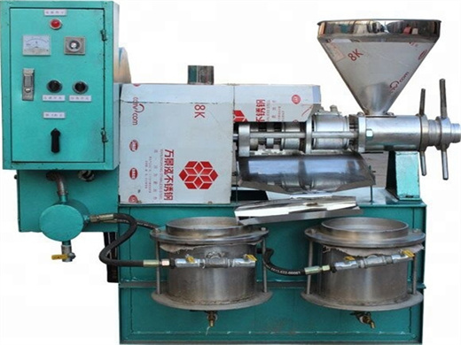 10tpd simple operation groundnut oil processing