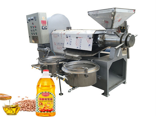automatic small oil press machine small peanut flaxseed