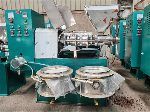 professional hydraulic oil press machine big cold press