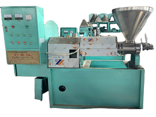 screw palm oil press machine niger seed extraction machine