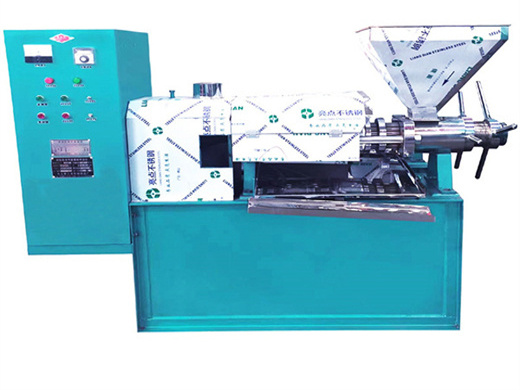 220v automatic small oil press machine