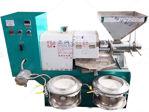 6yz hydraulic fully automatic oil press machine