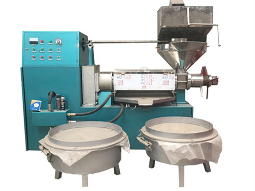 buying the right oil press machine for your home - oil press machine