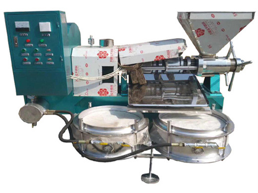 efficient screw oil press from china oil press manufacturer