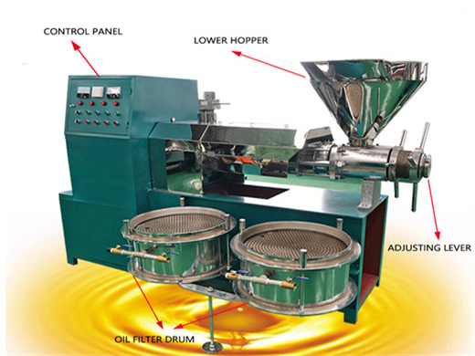 automatic household peanut sesame castor oil press machine