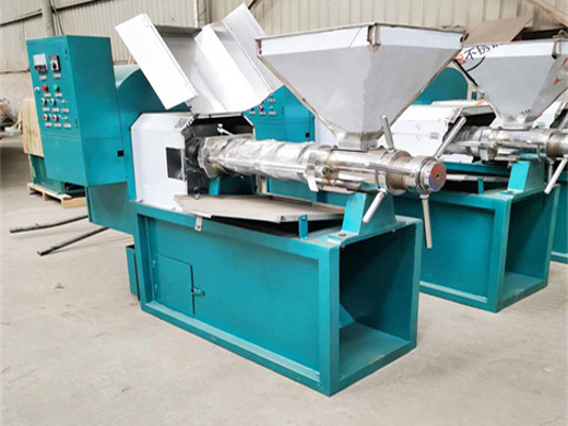 hydraulic cold press sesame oil press/ mango seed oil press machine/cold oil press machine from grain&oil machinery supplier on china