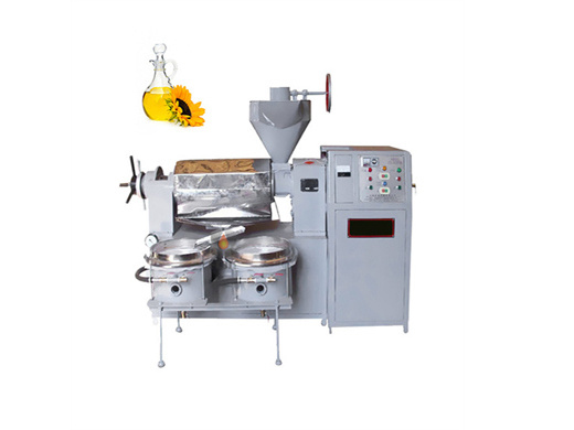 peanut oil extruder machine hj-p09 | automatic
