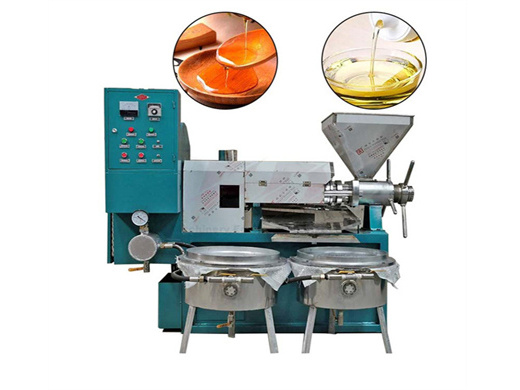 small single screw oil press machine at factory price for sales