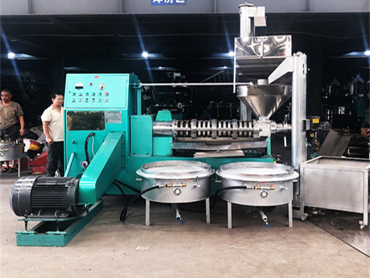 2023 new technology palm fruit oil extraction