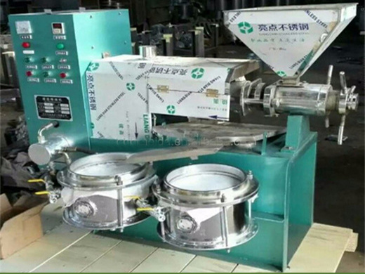 automatic oil press hot sale safflower seed oil press machine in uzbekistan | professional suppliers of oil press,oil production plant