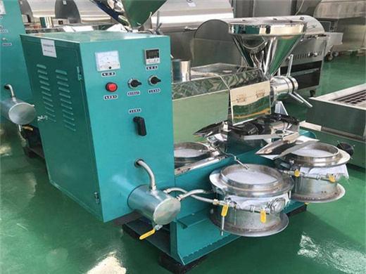 china cold and hot oil pressing machine oil presser