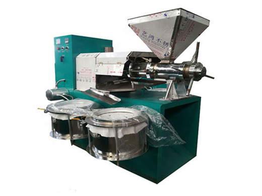 cameroon top quality soybean oil processing machine