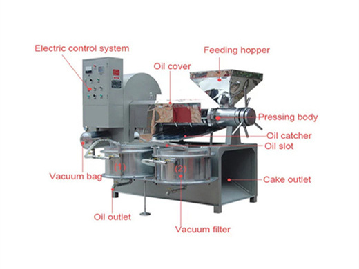 sesame oil press machine almond oil press machine