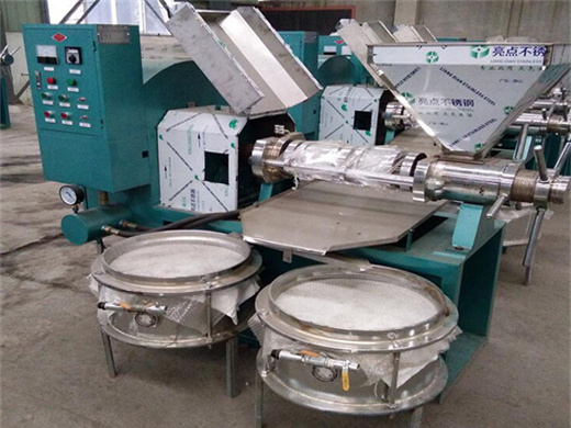 coconut bean oil making extraction expeller machine