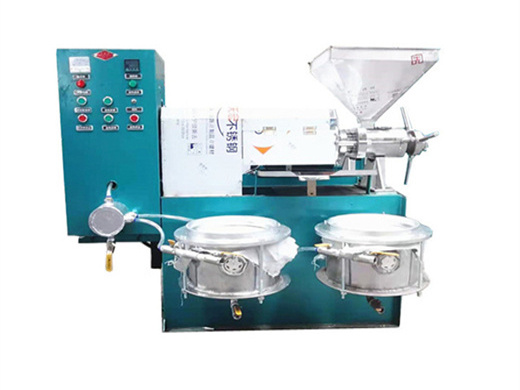 automatic palm oil processing machine oil pressing | cooking oil manufacturing machine oil extractor for sale