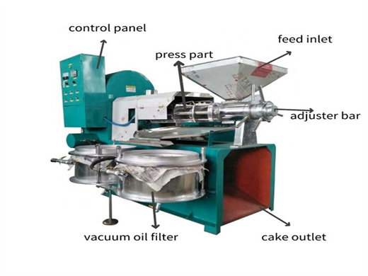 vertical peanut seed oil extraction machine with high quality
