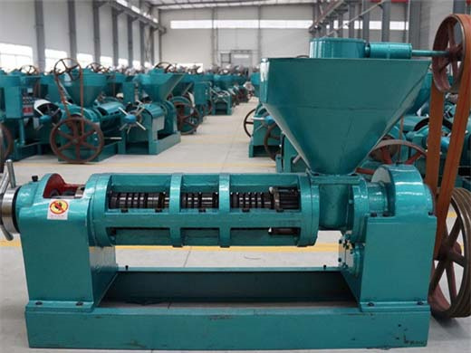 uae supplier 8 cotton seed oil production line