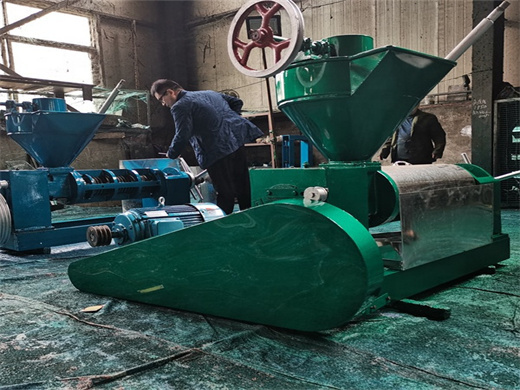 china supplier cotton seed oil press machine