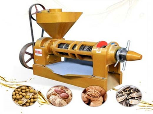 sesame and peanuts making machine automatic peanut oil press
