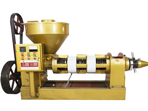 rice bran oil production machine starts oil pressing