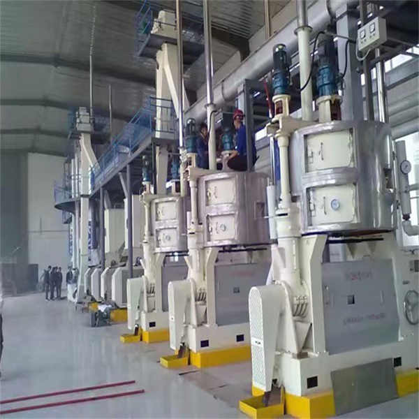 automatic oil expeller mill plant