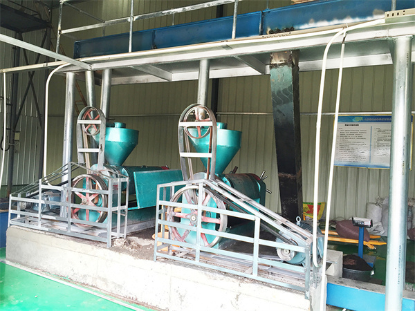 screw cotton seed oil press extractor making machine
