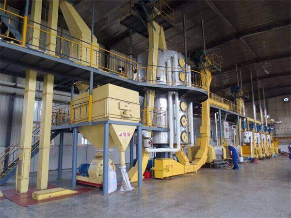 automatic palm kenel oil press processing machine