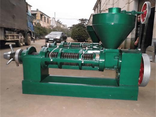 china vegetable oil press manufacturer, palm oil mill