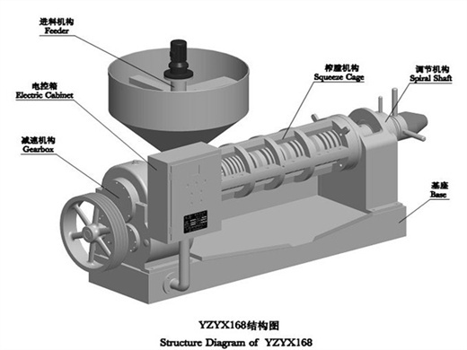 soybean oil making machine automatice cold press oil