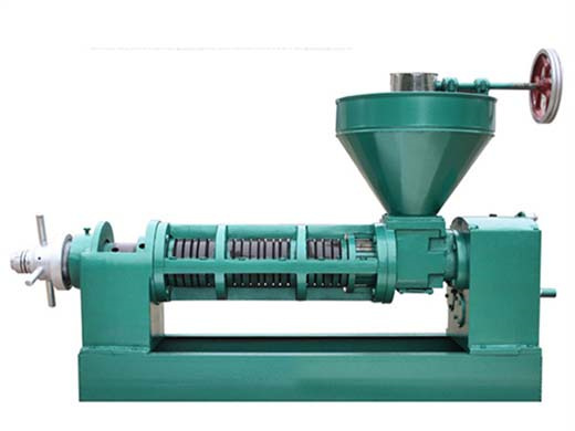 china prominent edible oil press machinery manufacture