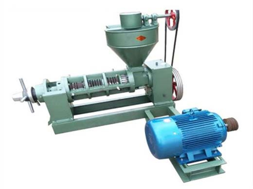 energy saving electrical hydraulic hot palm oil press machine