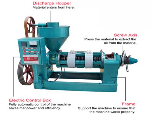 peanut oil processing machine - oil mill