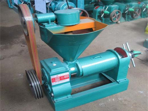 nigeria screw castor oil extracting machine for dubai