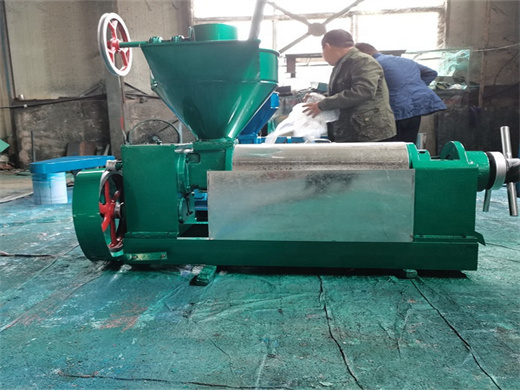 mini red palm oil plant equipment palm oil milling