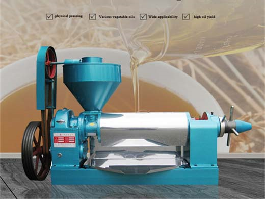 palm kernel oil extraction machine_palm oil processing
