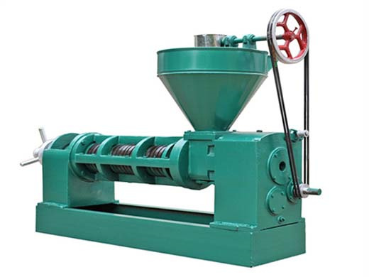 high quality 6yl 165 groundnut oil press | automatic