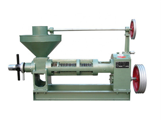 highly efficient palm kernel oil processing machines at factory price