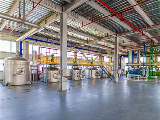 advanced edible oil refining plant - physical