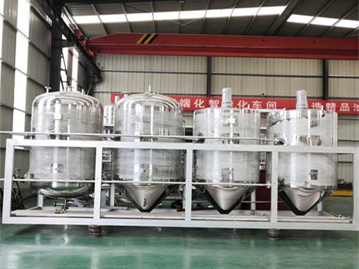 best palm oil extraction machine, customized solution