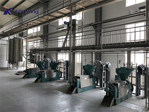 small scale palm oil refinery machine selection and process design