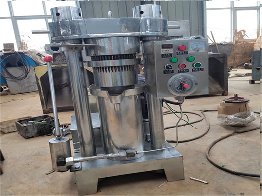 hot selling oil press machine walnut oil hydraulic