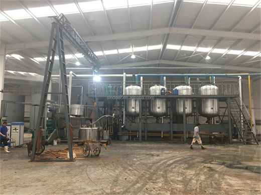 big scale palm kernel oil press machine production line