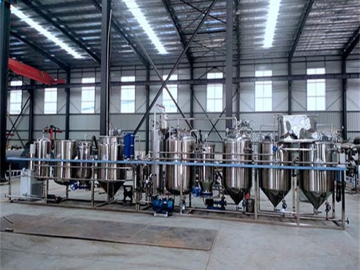 ce certificated high quality corn oil extraction machine